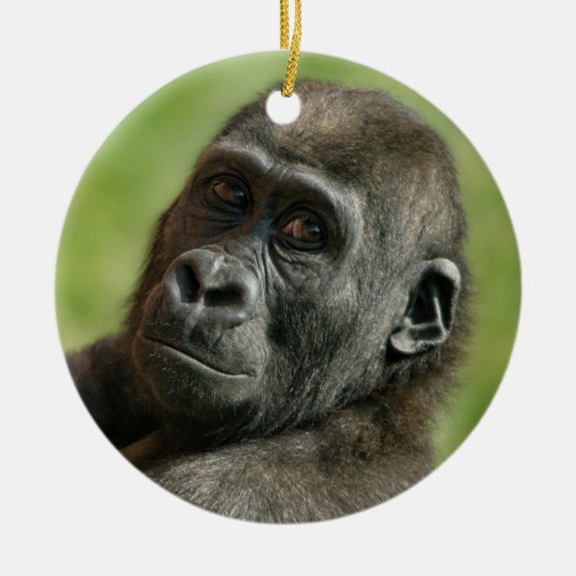 Gorilla Youngster Ceramic Tree Decoration (Front)