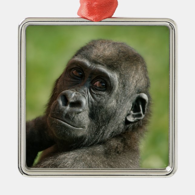 Gorilla Youngster Metal Tree Decoration (Front)