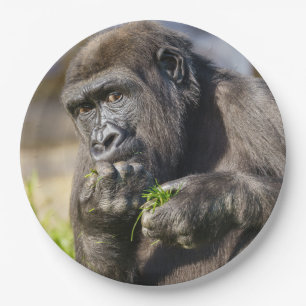 Gorilla Youngster Napkin Paper Plate