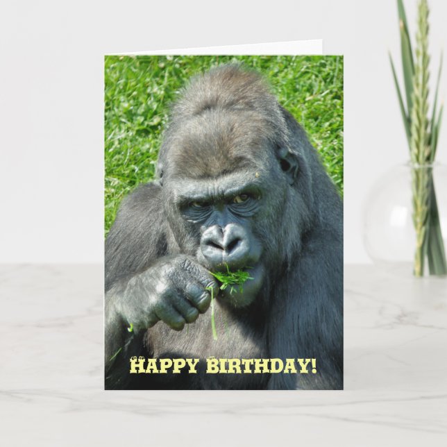 GORILLAS CARD (Front)