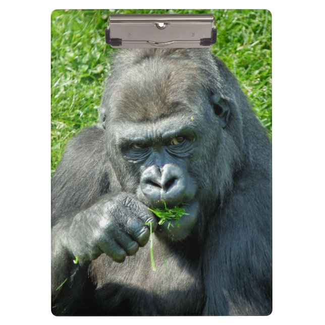 GORILLAS CLIPBOARD (Front)