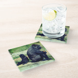 Gorillas Glass Coaster