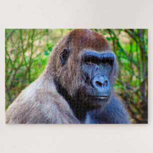 Gorillas. Jigsaw Puzzle