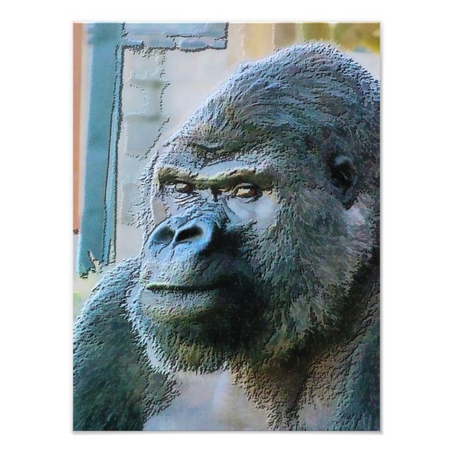 GORILLAS PHOTO PRINT (Front)