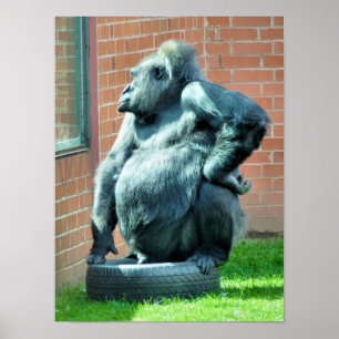 GORILLAS POSTER