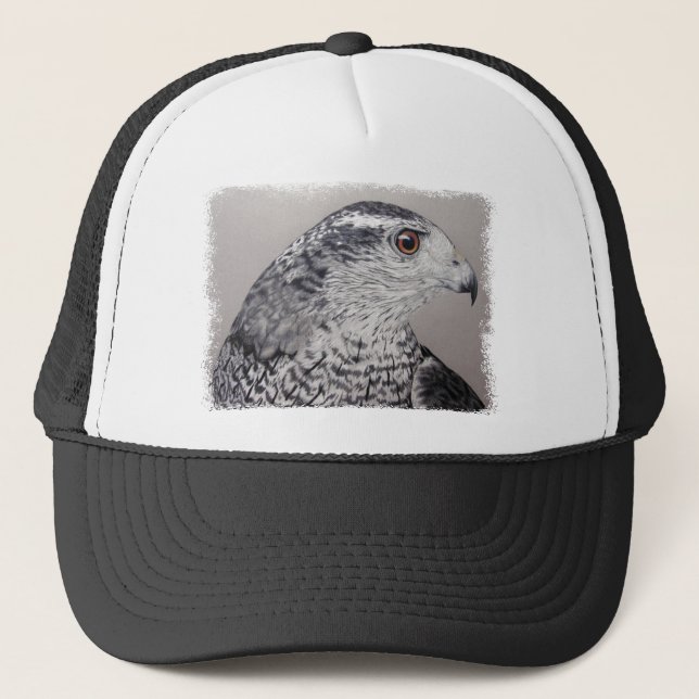 Goshawk Cap (Front)