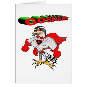 Goshawk Cartoon