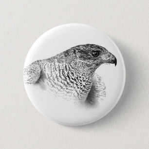 Goshawk Drawing 6 Cm Round Badge