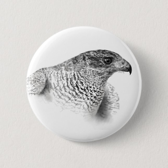 Goshawk Drawing 6 Cm Round Badge (Front)
