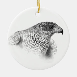 Goshawk Drawing Ceramic Tree Decoration