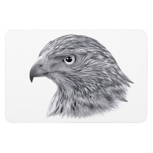 Goshawk - Flexible Magnet