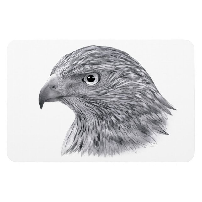 Goshawk - Flexible Magnet (Horizontal)