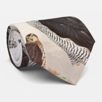 Goshawk John Gould Birds of Great Britain Wildlife