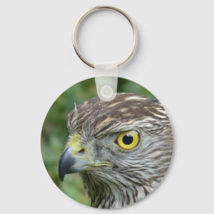 goshawk key ring