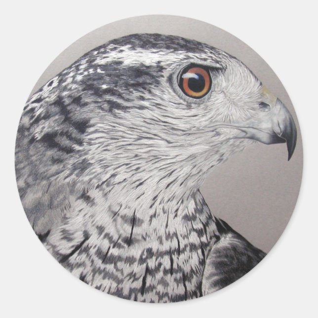 Goshawk Stickers (Front)