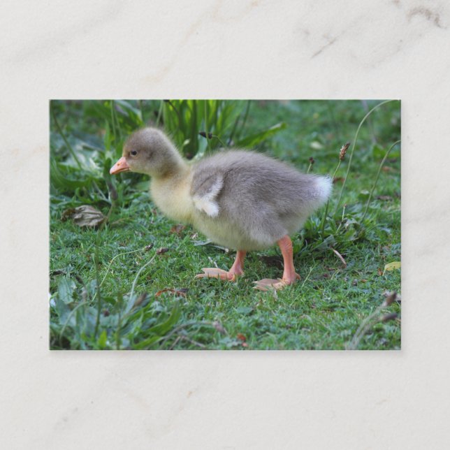 Gosling Business Card (Front)