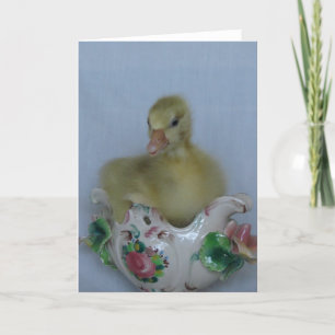 Gosling Card