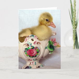 Gosling Card