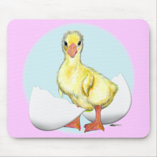 Gosling:  Just Hatched Mouse Pad