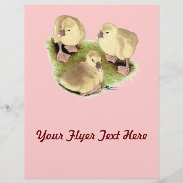 Goslings:  Buff African Flyer (Front)