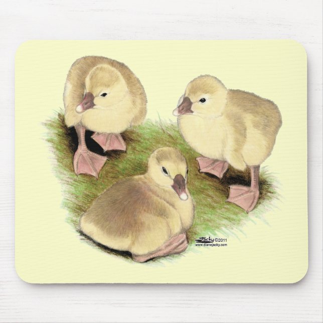 Goslings:  Buff African Mouse Pad (Front)