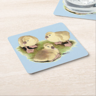 Goslings: Buff African Square Paper Coaster