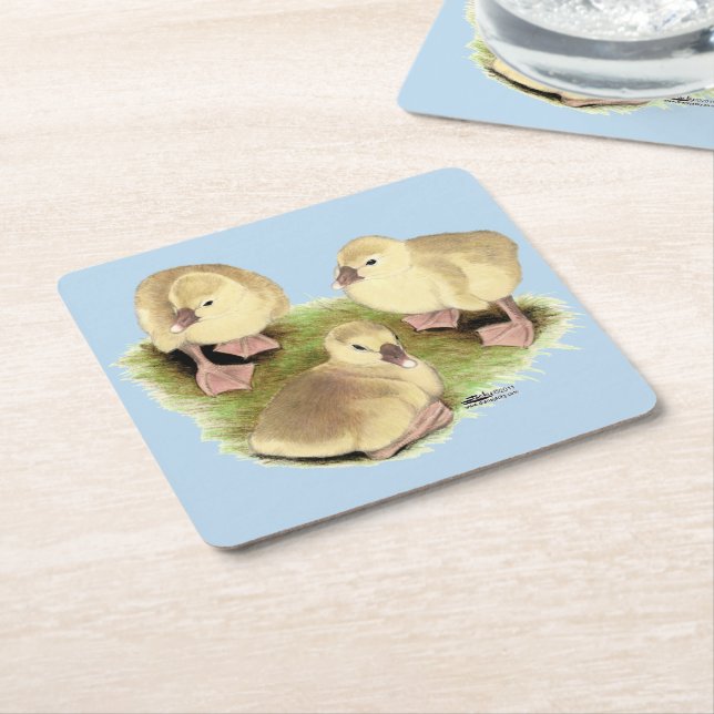 Goslings:  Buff African Square Paper Coaster (Angled)
