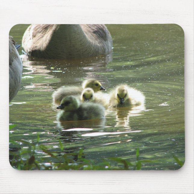 Goslings Mousepad (Front)