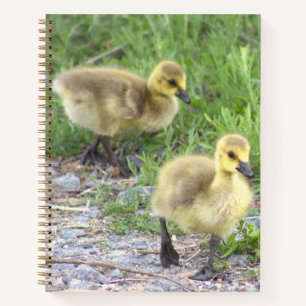 Goslings Photo Notebook