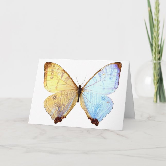 Gossamer Blue Butterfly Wings Note Birthday Card (Front)