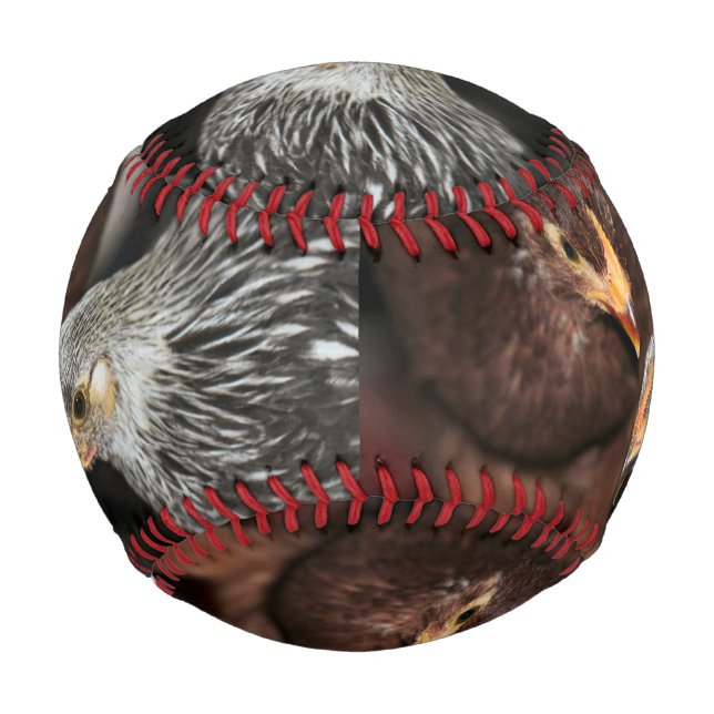 Gossip time baseball (Front)
