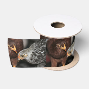 Gossip time satin ribbon