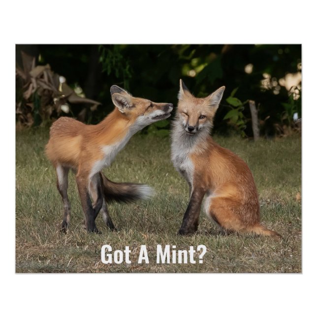 Got A Mint? Poster (Front)