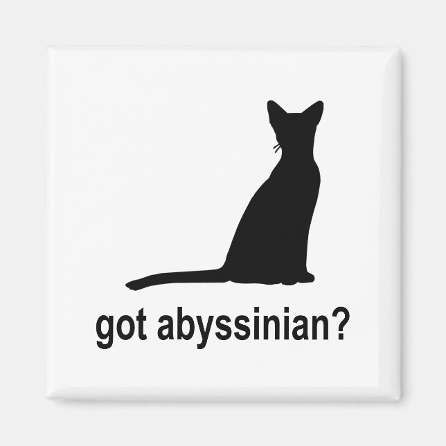 Got Abyssinian? Magnet (Front)