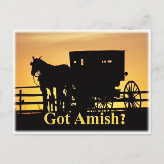 Got Amish? Postcard
