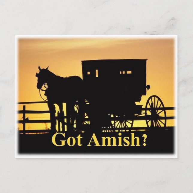 Got Amish? Postcard (Front)
