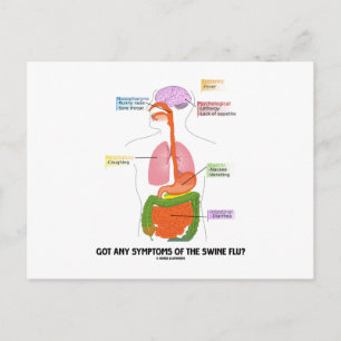 Got Any Symptoms Of The Swine Flu? (Anatomy) Postcard