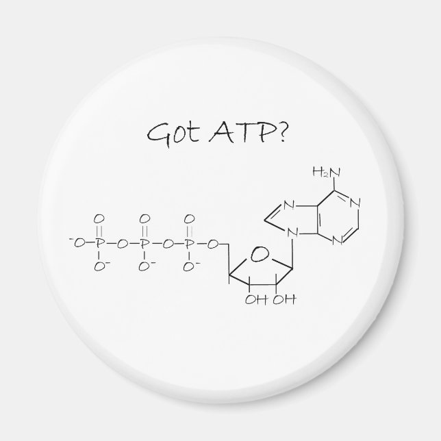 Got ATP? Magnet (Front)