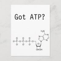 Got ATP?