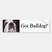 Got Bulldog?