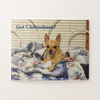 Got Chihuahuas Puzzle