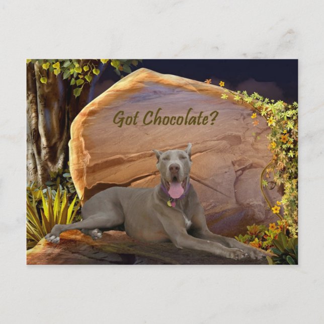 Got Chocolate Dane? Postcard (Front)