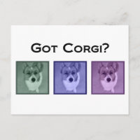 Got Corgi? Funny Corgis Art Photograph