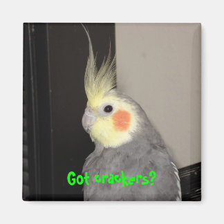 Got crackers? magnet