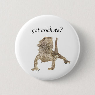 Got crickets 6 cm round badge