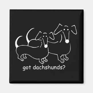 got dachshunds #2 magnet