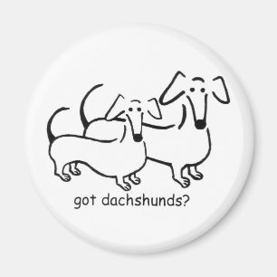 got dachshunds? Magnet