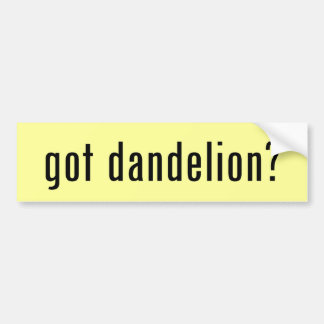 got dandelion? bumper sticker