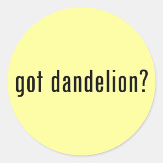 got dandelion? classic round sticker