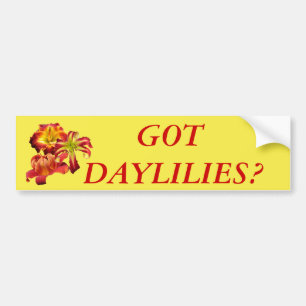 Got Daylilies? Bumper Sticker